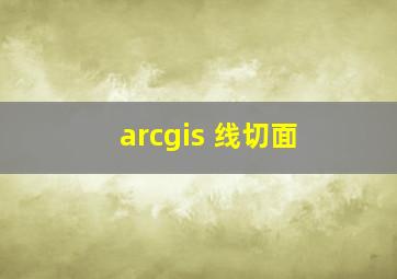 arcgis 线切面